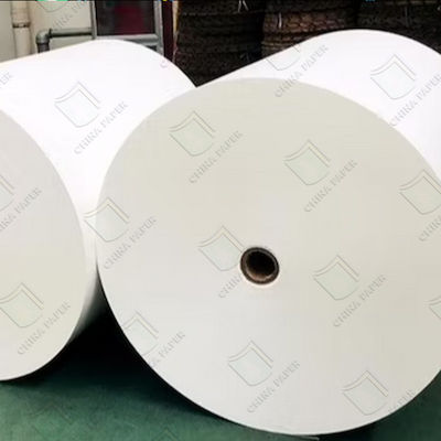 chất lượng Custom PE phủ Cup Stock giấy tấm trong tấm cuộn cho đóng gói thực phẩm nhà máy sản xuất